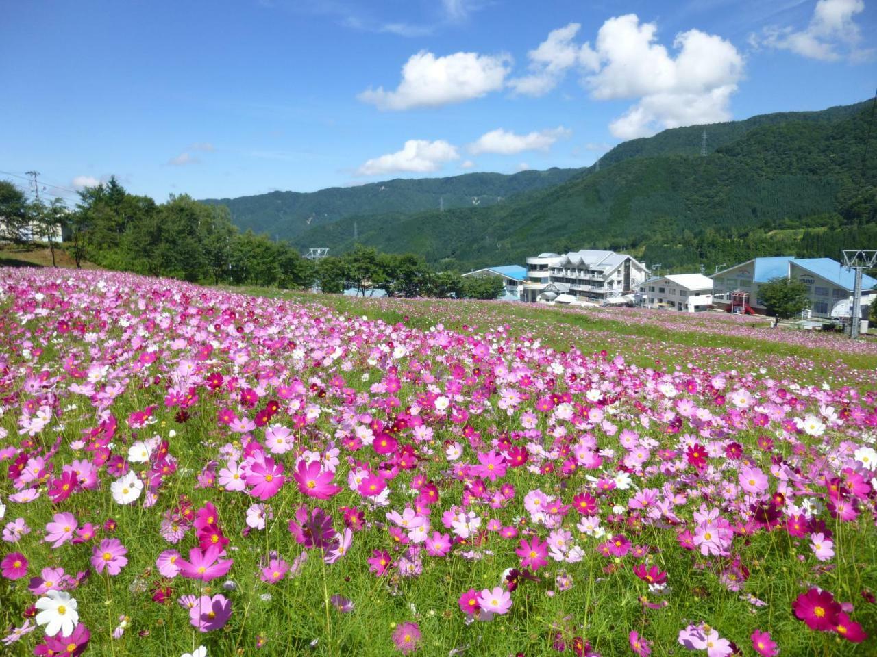 Joyful Honoki Hotel Takayama  Exterior photo